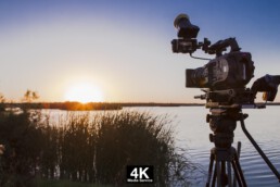 4k Media Service, Natura, Doñana, Operador de Cámara, Productora Audiovisual